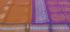 PL BIG BUTTA SAREE